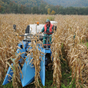 Preizkušanje tehnologij