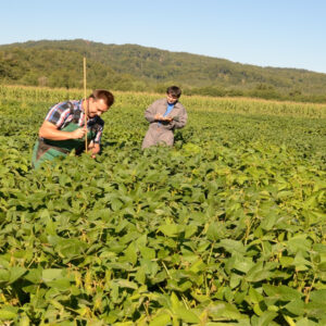 Preizkušanje tehnologij
